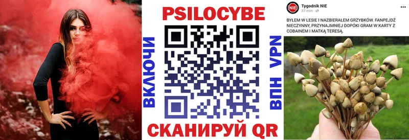Галлюциногенные грибы Magic Shrooms  Ейск 